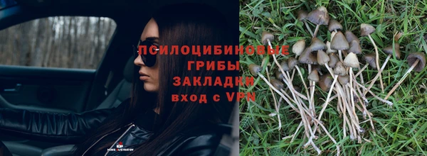 не бодяженный Балахна